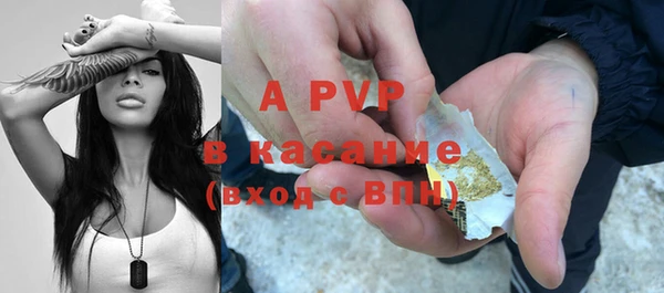 сатива Саяногорск