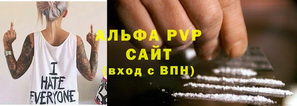 дживик Сатка