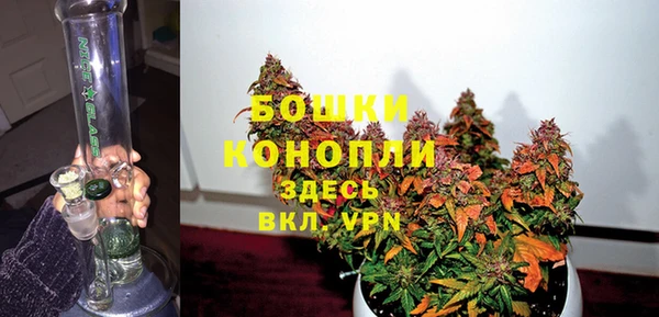 дживик Сатка