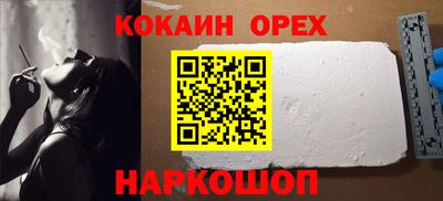 СК Кингисепп
