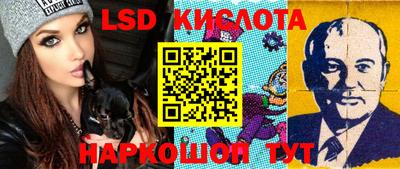СК Кимры