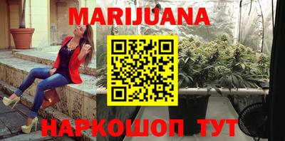 СК Кингисепп
