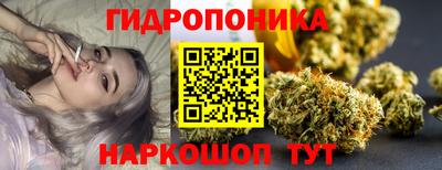 СК Кингисепп