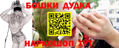 СК Кингисепп
