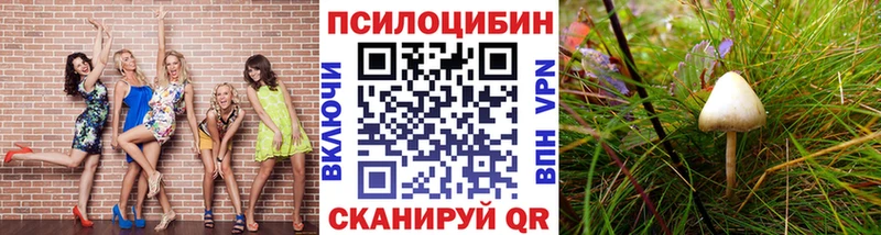 Псилоцибиновые грибы GOLDEN TEACHER  Советск 