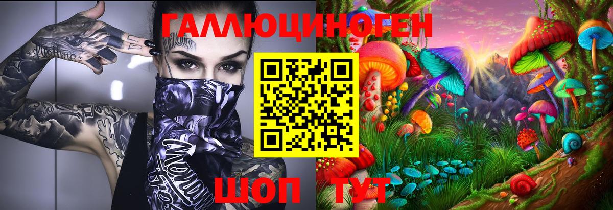Советск  Псилоцибиновые грибы прущие грибы  Псилоцибиновые грибы мицелий  Вход с VPN 