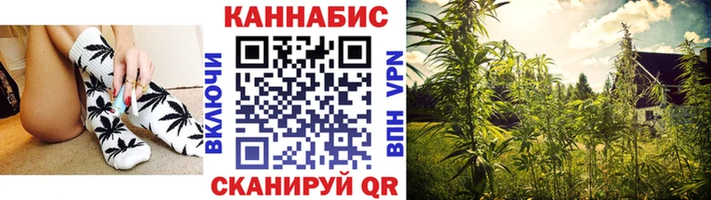 mega сайт  Советск  Конопля тримм 
